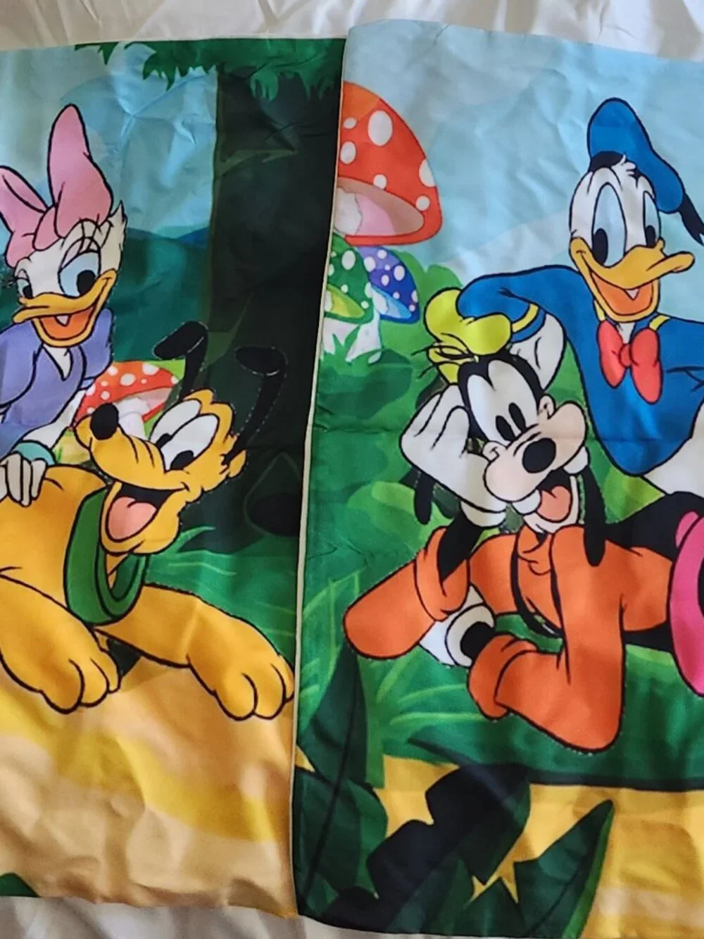 Full size Disney Duvet Cover/insert/pillowcases